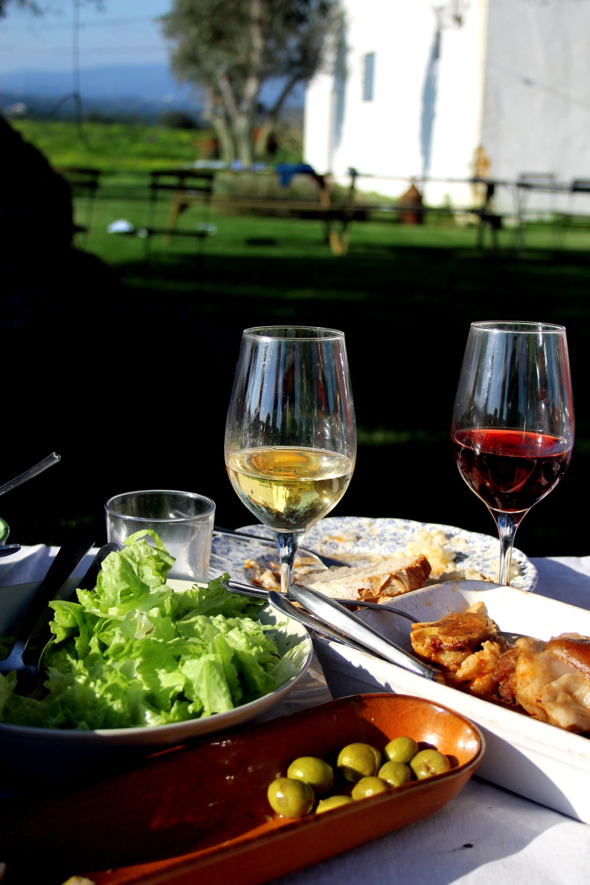 Glasses of white and red wine beside a plated dinner at night
