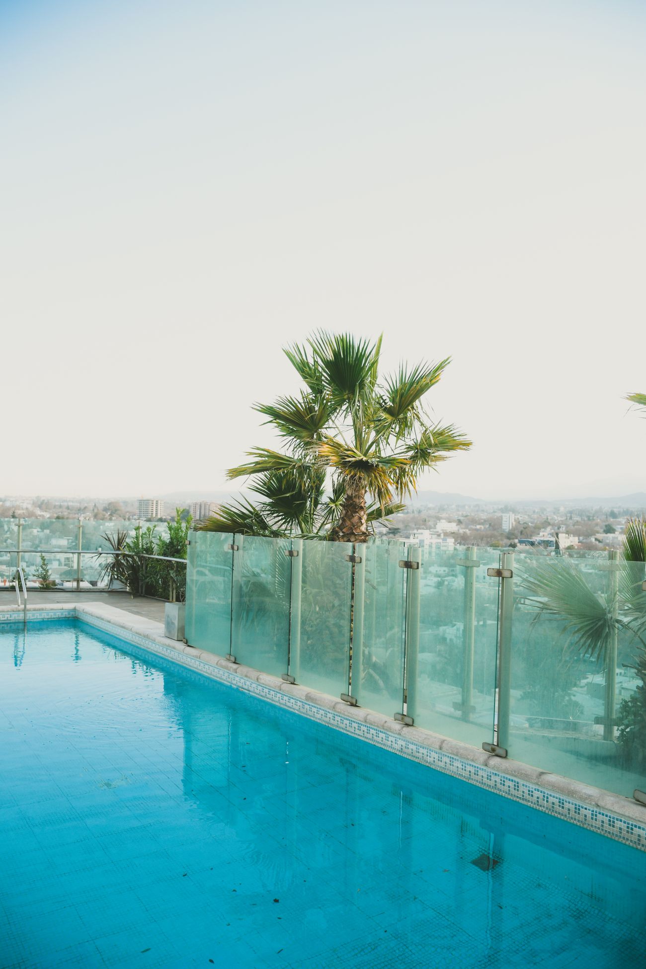 A rooftop pool terrace with glass balustrades, a palm and city views