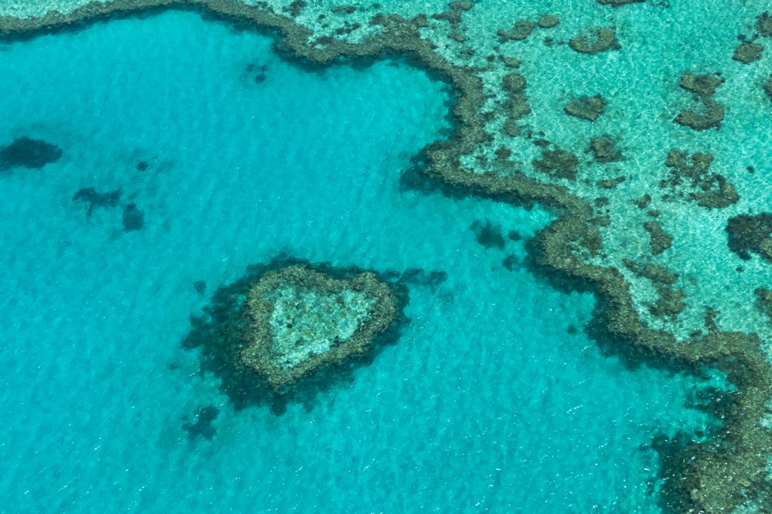 Aerial view of Heart Reef, a heart-shaped coral formation in turquoise water