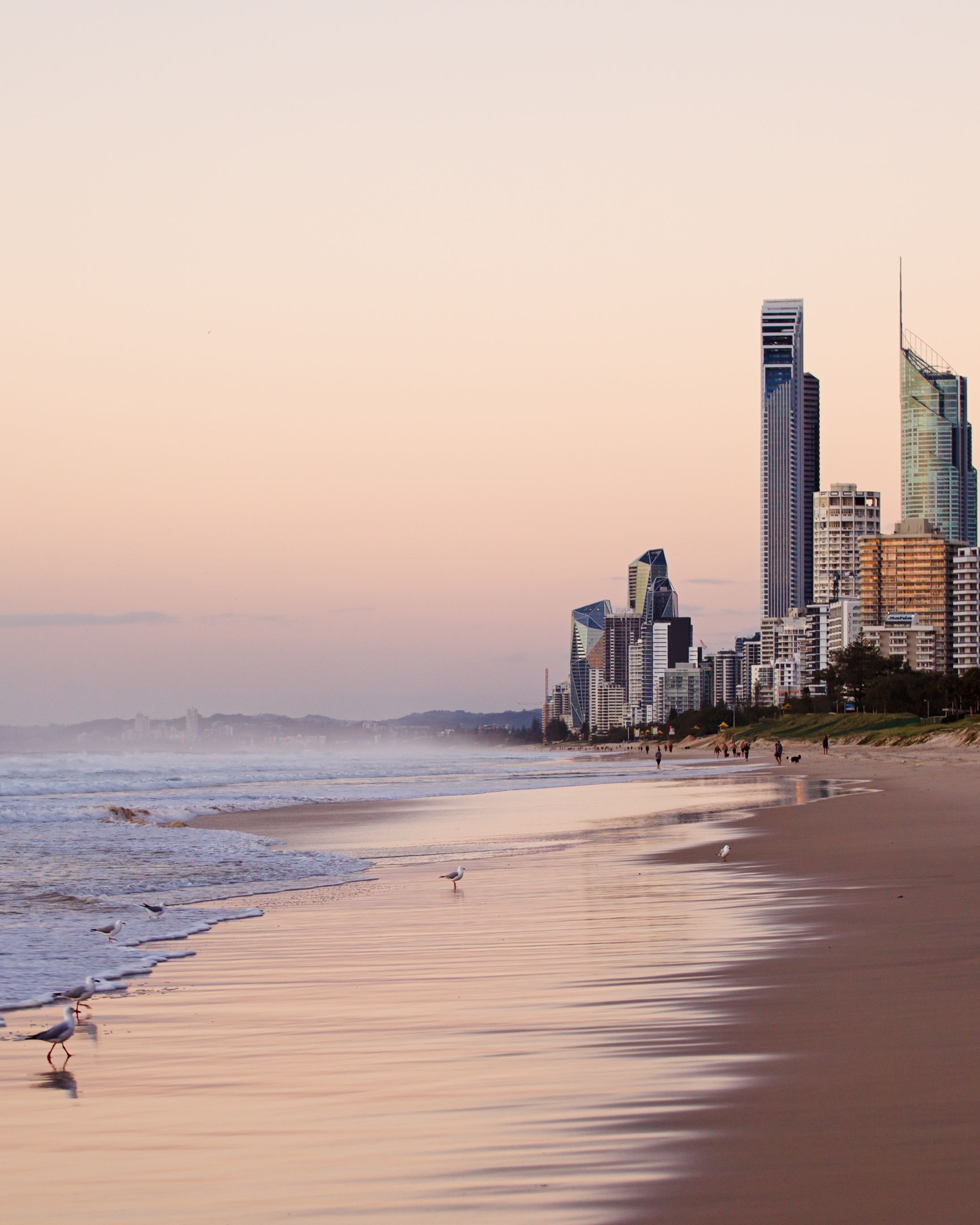 Gold Coast towers above a wide, quiet beach at dawn, with gulls at the water's edge