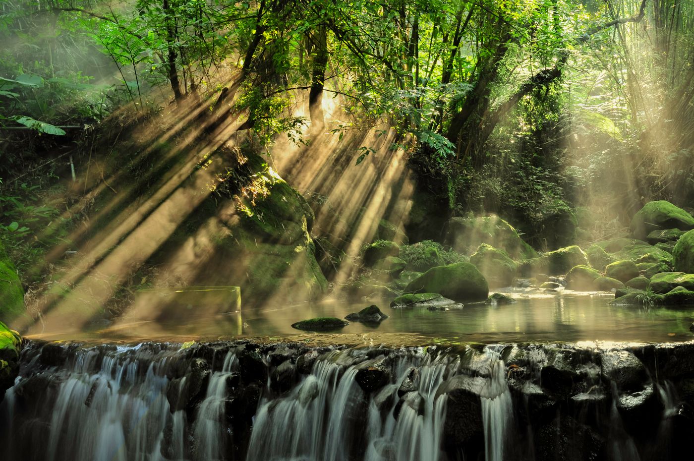 Sunlight streaming through rainforest above a small waterfall